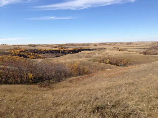 Autumn prairie hills near Willow Bunch